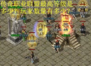 传奇职业联盟最高等级是多少？玩家数量有多少？