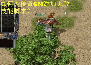 如何为传奇GM添加无敌技能脚本？