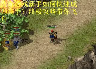 传奇游戏新手如何快速成为高手？终极攻略带你飞升