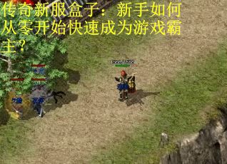 传奇新服盒子：新手如何从零开始快速成为游戏霸主？