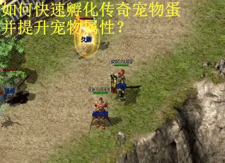 如何快速孵化传奇宠物蛋并提升宠物属性? 如何快速孵化传奇宠物蛋并提升宠物属性?