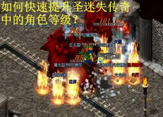 如何快速提升圣迷失传奇中的角色等级？