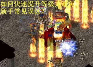 如何快速提升等级并避免新手常见误区？