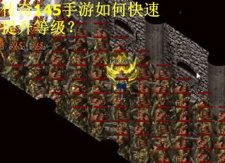 传奇145手游如何快速提升等级？
