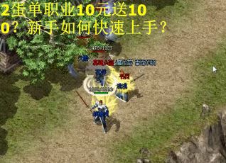 2蛋单职业10元送100？新手如何快速上手？
