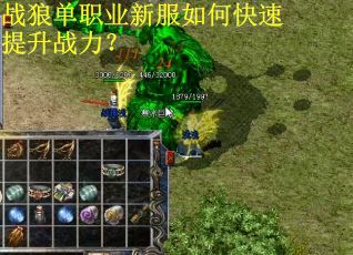 战狼单职业新服如何快速提升战力？