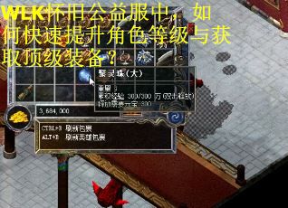 WLK怀旧公益服中，如何快速提升角色等级与获取顶级装备？