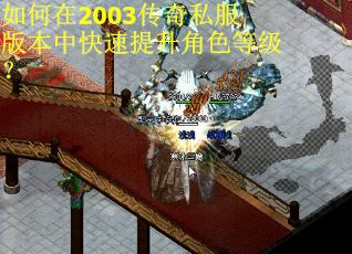 如何在2003传奇私服版本中快速提升角色等级？