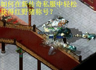 如何在新传奇私服中轻松获得红野猪称号？