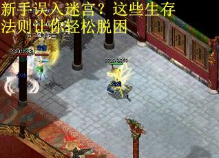 新手误入迷宫？这些生存法则让你轻松脱困