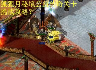 狐狸月秘境公益传奇关卡挑战攻略？