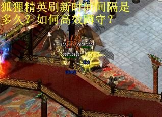 狐狸精英刷新时间间隔是多久?如何高效蹲守? 狐狸精英刷新时间间隔是多久?如何高效蹲守?