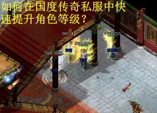 如何在国度传奇私服中快速提升角色等级？