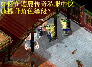 如何在逐鹿传奇私服中快速提升角色等级？